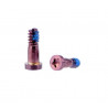 Set Tornillos de Cierre iPhone SE A1723, A1662