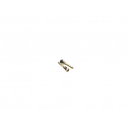 Set Tornillos de Cierre iPhone 11 A2221, 11 Pro, 11 Pro Max - Klicfon