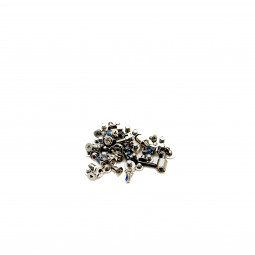 Set Tornillos Internos iPhone 11 Pro A2215, A2160, A2217 - Klicfon