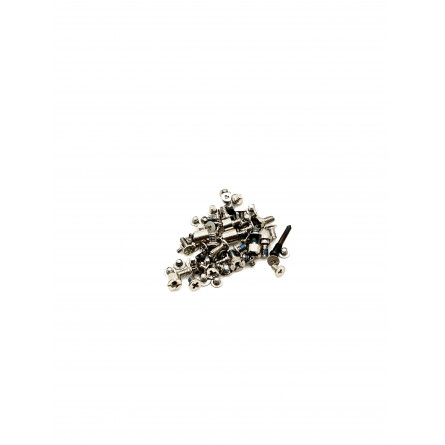 Set Tornillos Internos iPhone 11 Pro Max A2218, A2161, A2220 - Klicfon