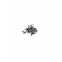 Set Tornillos Internos iPhone 12 Mini A2399, A2176 - Klicfon
