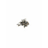 Set Tornillos Internos iPhone 12 Mini A2399, A2176 - Klicfon