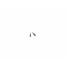 Set Tornillos de Cierre iPhone 12 A2403, A2172 - Klicfon
