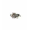 Set Tornillos Internos iPhone 12 A2403, A2172 - Klicfon