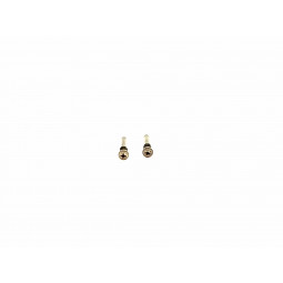 Set Tornillos Cierre iPhone 12 Pro A2407, 12 Pro Max A2411 - Klicfon