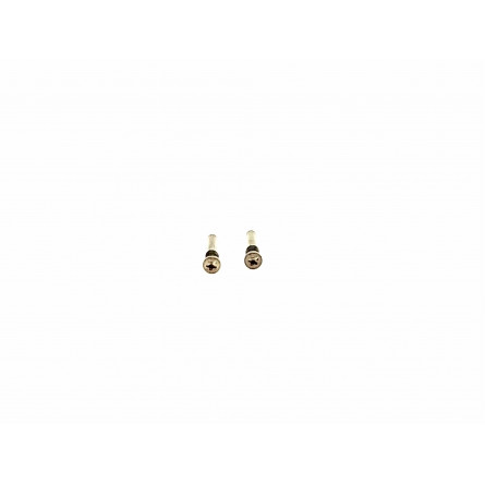 Set Tornillos Cierre iPhone 12 Pro A2407, 12 Pro Max A2411 - Klicfon