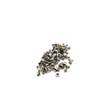 Set Tornillos Internos iPhone 12 Pro Max A2411, A2342, A2410 - Klicfon