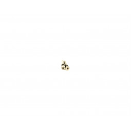 Set Tornillos de Cierre iPhone XS A1920, A2097, A2100 - Klicfon
