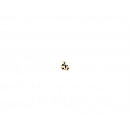 Set Tornillos de Cierre iPhone XS A1920, A2097, A2100 - Klicfon