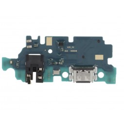 Placa Auxiliar con Conector de Carga Samsung A25 A256B(Servicepack)-Klicfon