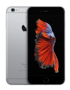 iPhone 6